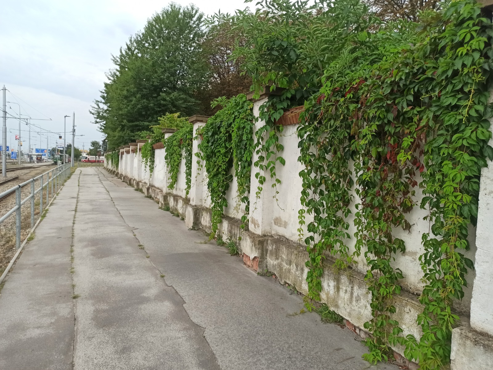 Před – pohled 3